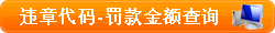 违章代码查询